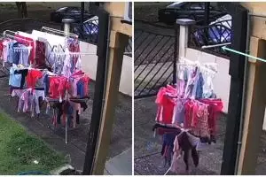 Aksi terpuji tetangga bantu amankan jemuran pakai tongkat, bikin salut