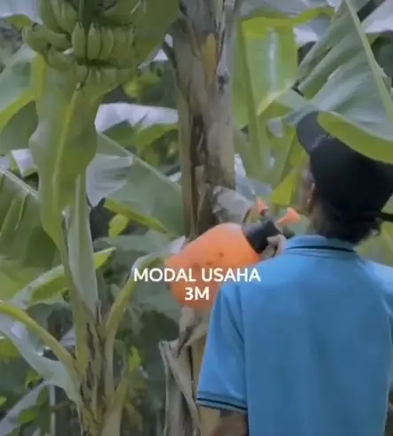 Rahasia sukses dalam bisnis Twitter/@helowmad Rahasia sukses dalam bisnis Twitter/@helowmad