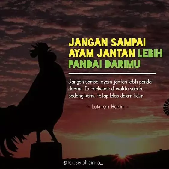 mutiara pejuang subuh instagram 