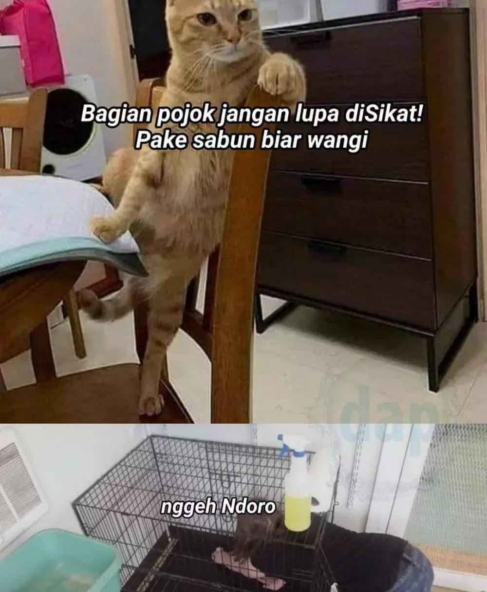 ketika hewan jadi majikan Berbagai sumber