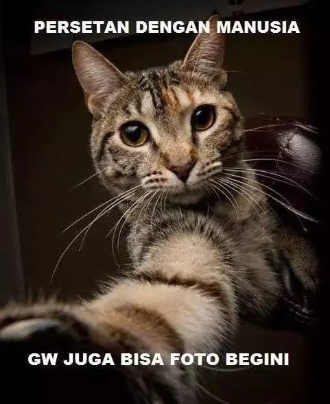 ketika hewan jadi majikan Berbagai sumber