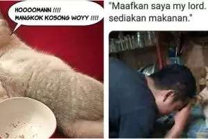 10 Meme lucu kalau hewan peliharaan dan majikan tukar peran