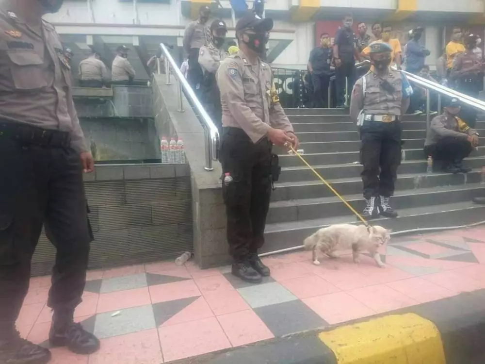 gambar janggal bikin mikir keras Berbagai sumber gambar janggal bikin mikir keras Berbagai sumber