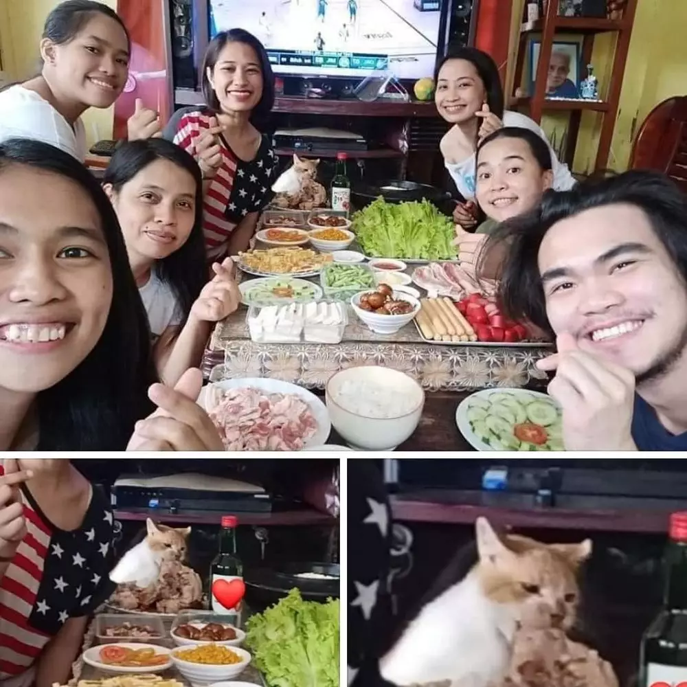 momen sok asik kucing Instagram momen sok asik kucing Instagram