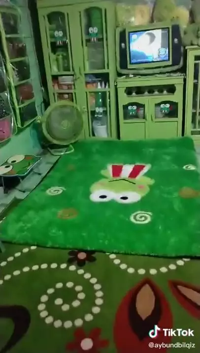 rumah tema keroppi serba hijau TikTok 