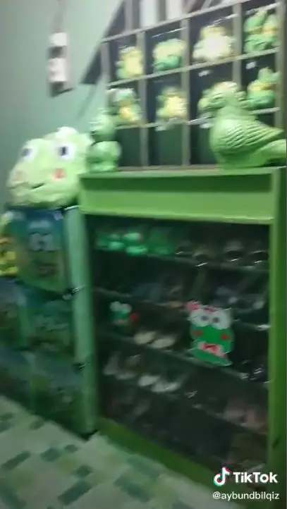 rumah tema keroppi serba hijau TikTok 
