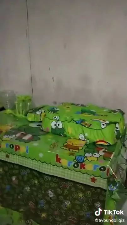 rumah tema keroppi serba hijau TikTok 