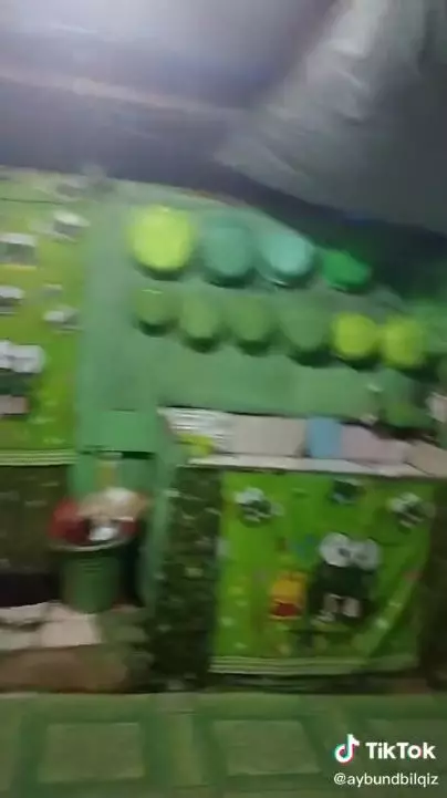 rumah tema keroppi serba hijau TikTok 