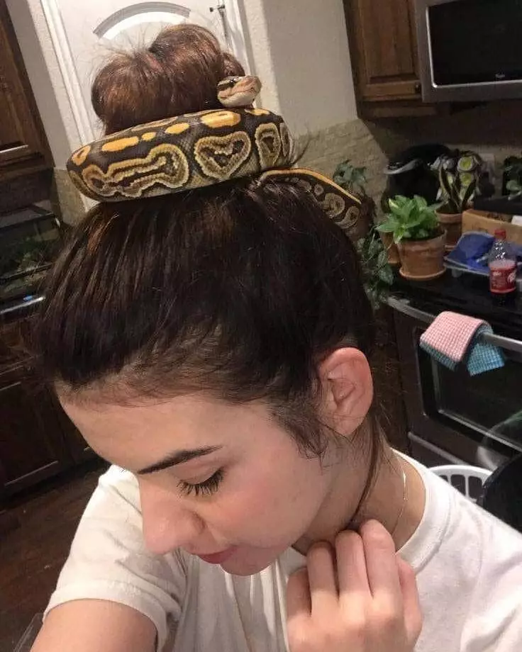 ikat rambut antimainstream Berbagai Sumber