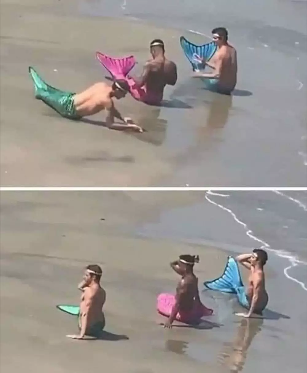 potret asal jepret absurd Berbagai sumber potret asal jepret absurd Berbagai sumber