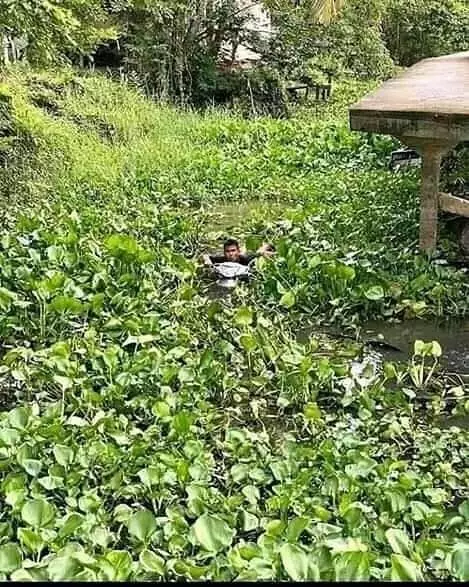 potret asal jepret absurd Berbagai sumber potret asal jepret absurd Berbagai sumber