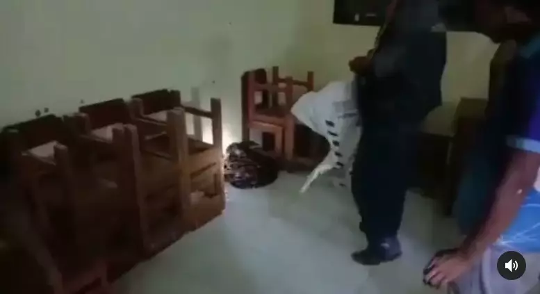 Ular piton di ruang kelas Instagram/@ndorobeii