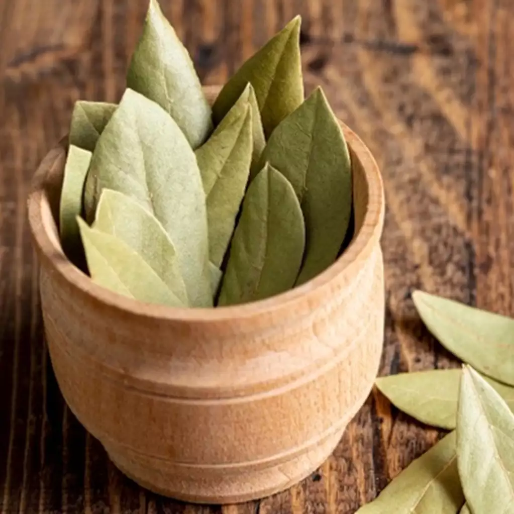 15 Manfaat air rebusan daun salam untuk kesehatan, mencegah kanker