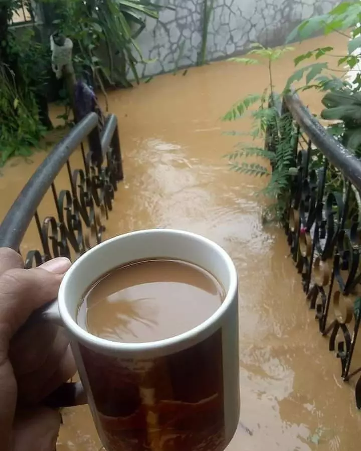 pamer malah malu sendiri Berbagai sumber