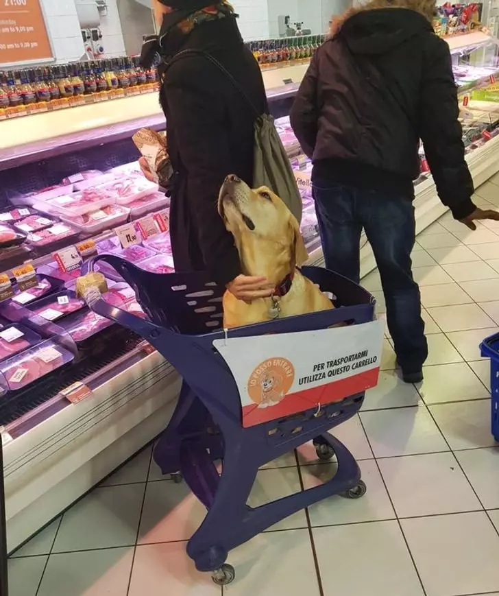 Potret fasilitas toko Berbagai sumber