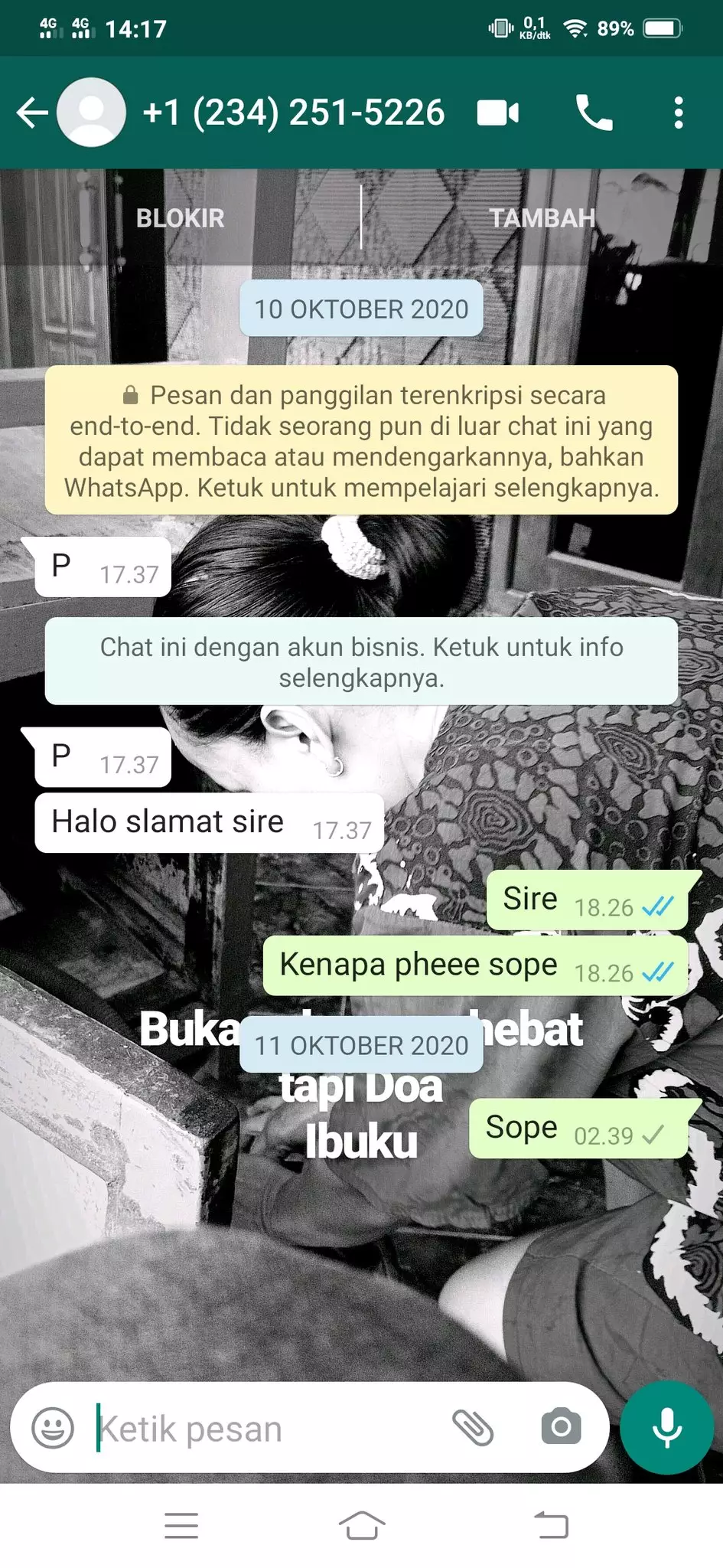 Chat lucu dari penipu berbagai sumber