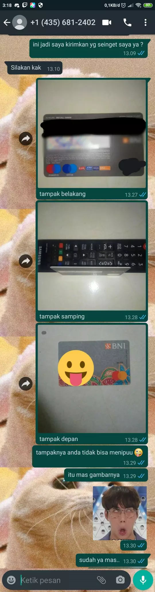 Chat lucu dari penipu berbagai sumber