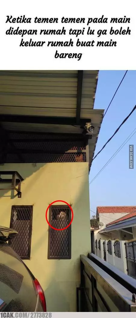 penampakan di jendela  © Berbagai sumber