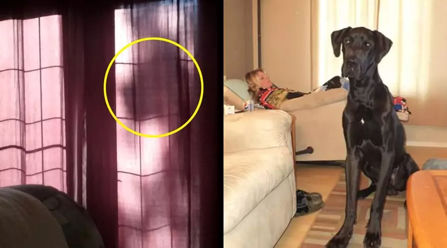 penampakan di jendela  © Berbagai sumber