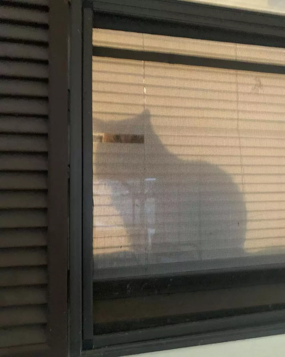 penampakan di jendela  © Berbagai sumber