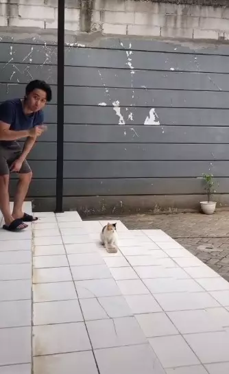 Lelaki mau injak kucing TikTok/@kwakminjae_ Lelaki mau injak kucing TikTok/@kwakminjae_