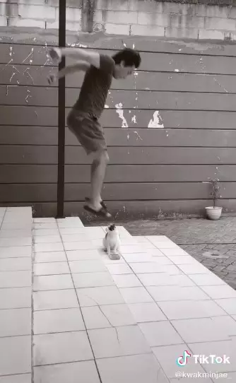 Lelaki mau injak kucing TikTok/@kwakminjae_ Lelaki mau injak kucing TikTok/@kwakminjae_