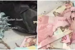 Ingin umrahkan ibu, uang tabungan Rp 50 juta pria ini dimakan rayap