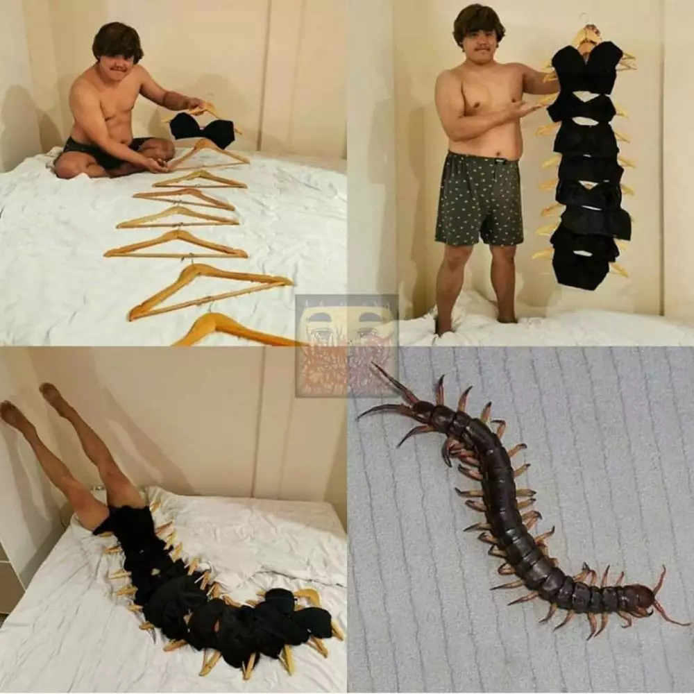 cosplay jadi hewan kocak Instagram