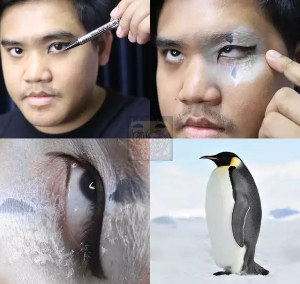 cosplay jadi hewan kocak Instagram