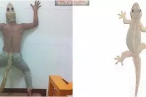 7 Potret ketika orang cosplay menjadi hewan ini bikin geleng-geleng