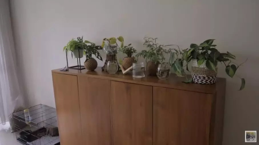 rumah sementara Zaskia Sungkar © YouTube