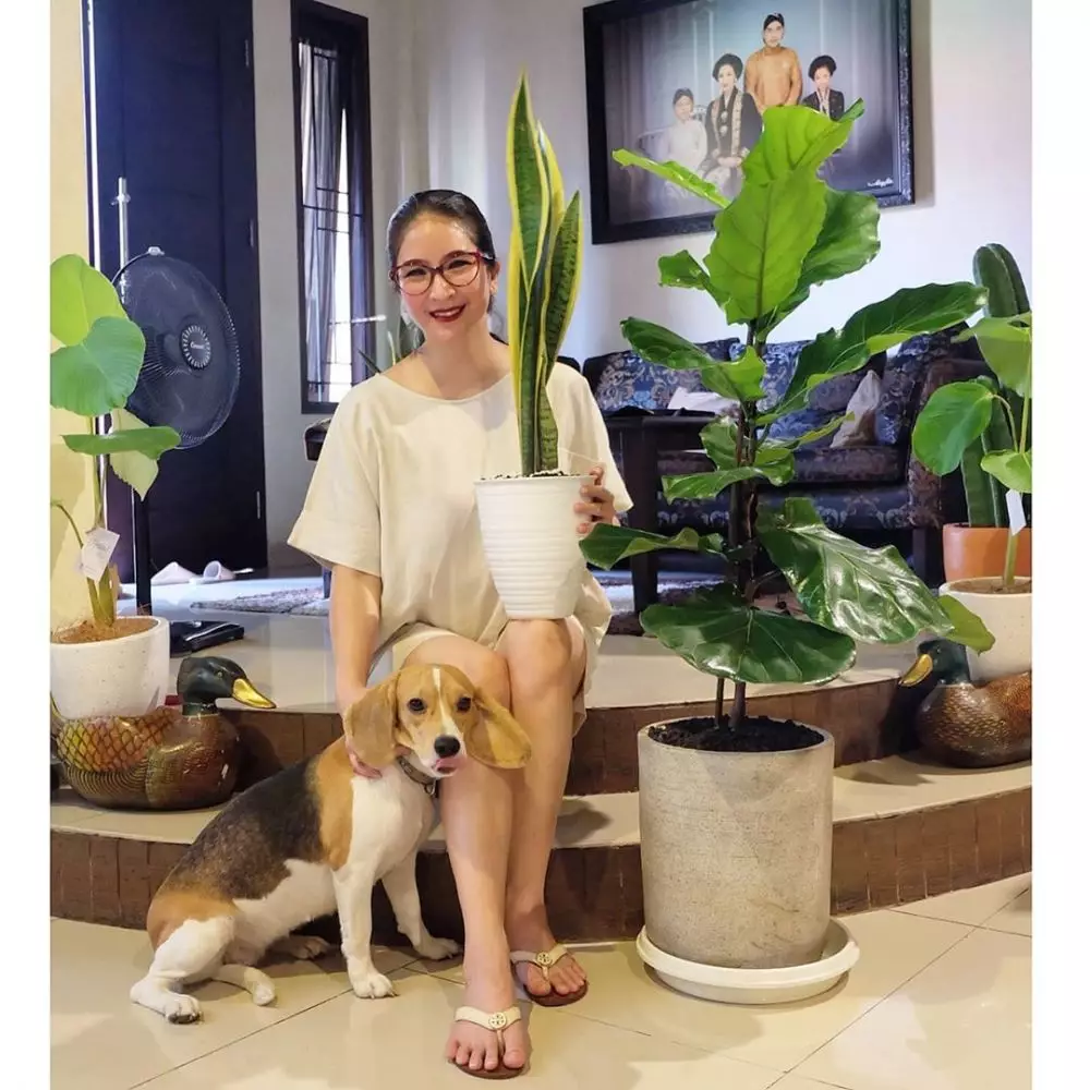 Potret rumah Novita Angie © Instagram Potret rumah Novita Angie © Instagram