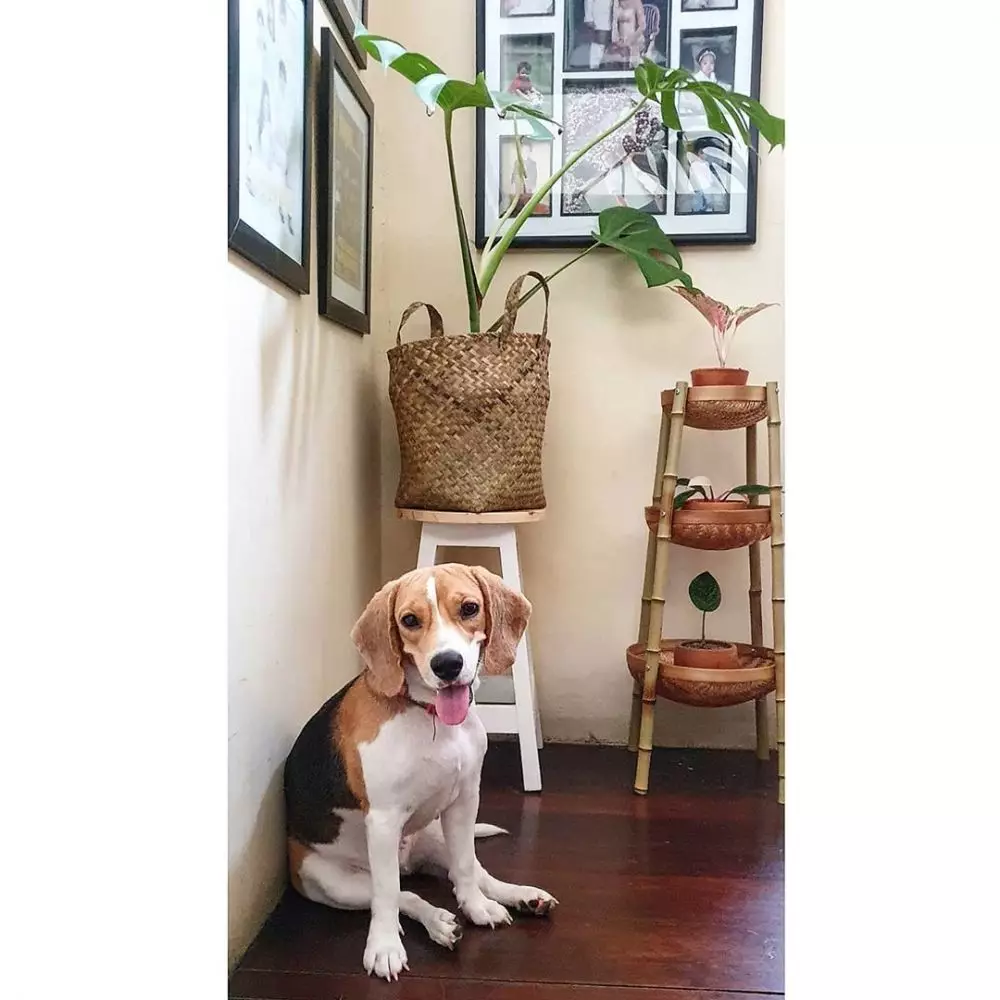 Potret rumah Novita Angie © Instagram Potret rumah Novita Angie © Instagram