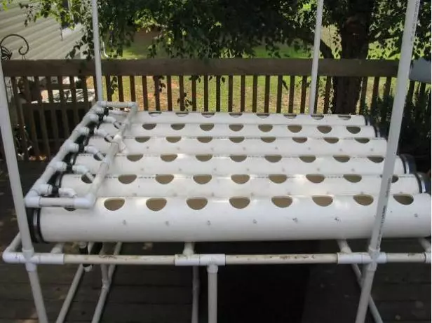 Cara menanam hidroponik © 2020 brilio.net