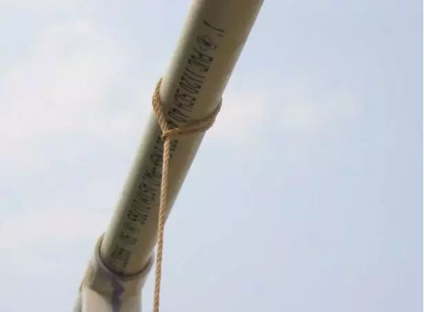 Cara menanam hidroponik © 2020 brilio.net