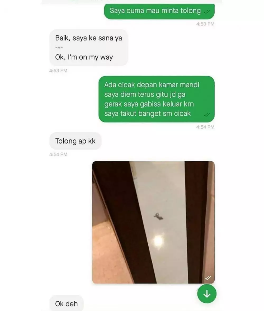 Chat ojek online pakai gambar berbagai sumber