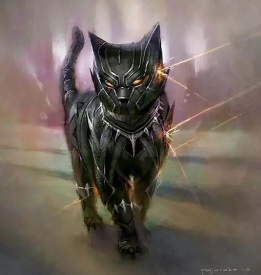 karakter super hero jadi kucing Instagram karakter super hero jadi kucing Instagram