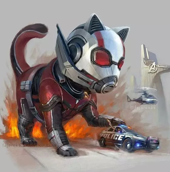 karakter super hero jadi kucing Instagram karakter super hero jadi kucing Instagram