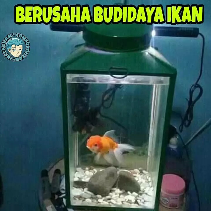 cara nyeleneh atasi masalah Berbagai sumber