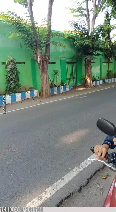 potret lucu pagar rumah © Berbagai sumber potret lucu pagar rumah © Berbagai sumber