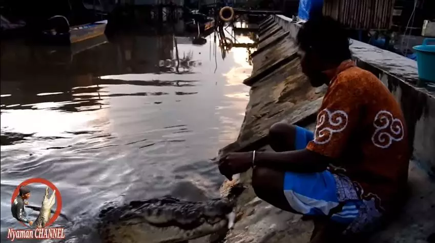 buaya bersahabat dengan YouTube buaya bersahabat dengan YouTube