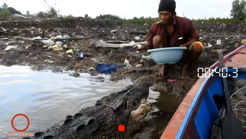 buaya bersahabat dengan YouTube buaya bersahabat dengan YouTube