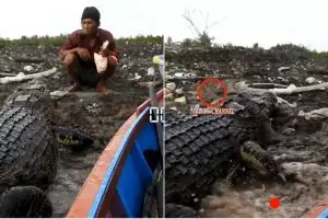 Kisah persahabatan pria Bontang dengan buaya selama 14 tahun