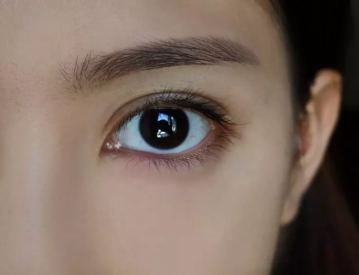 KV_Insto Shutterstock.com KV_Insto Shutterstock.com