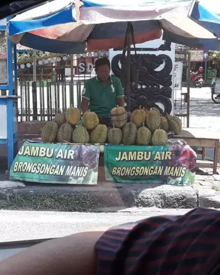 spanduk nyeleneh tukang buah © Berbagai sumber spanduk nyeleneh tukang buah © Berbagai sumber