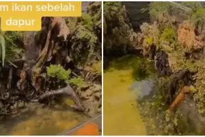 Antimainstream, rumah ini viral karena dipenuhi kolam ikan