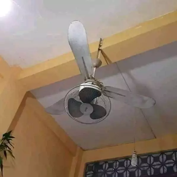 potret aneh kipas gantung  © Berbagai sumber