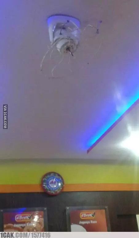 potret aneh kipas gantung  © Berbagai sumber