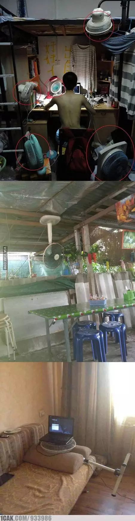 potret aneh kipas gantung  © Berbagai sumber