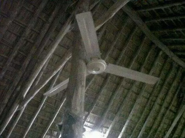 potret aneh kipas gantung  © Berbagai sumber